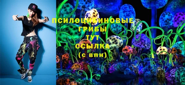 прущая мука Рославль
