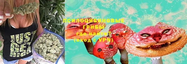 прущая мука Рославль