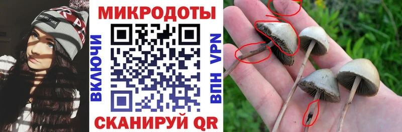 Псилоцибиновые грибы ЛСД  Купить где  Тетюши 